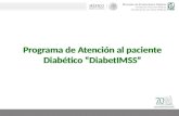 Programa de atenci³n al paciente diab©tico (DiabetIMSS)
