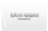 Clase 2 Sulfuros Hipogenos