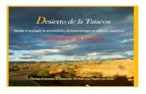 Desierto de la Tatacoa - Un Desierto de Pel­cula