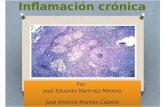 Inflamacion Cronica Granulomatosa 1