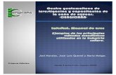 infostad manual de usos metodos estadisticos en exel.pdf