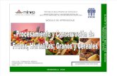Procesamiento y Conservaci³n de Frutas, Hortalizas, Granos y Cereales