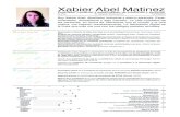 Curriculum Xabier Abel Martinez