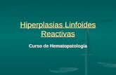 Hiperplasias Linfoides Reactivas Curso de Hematopatolog­a