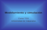 Modelamiento y simulaci³n Curso TGS Universidad de Valpara­so