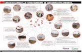 Infograf­a: Lomas de Carabayllo y sus principales problemas de contaminaci³n ambiental