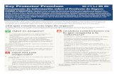 Key Protector Premium - American Express 2020-06-23آ  Key Protector Premium Documento de informaciأ³n