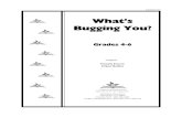 Whatâ„¢s Bugging You? â€؛ resources â€؛ lesson â€؛  آ  Whatâ„¢s Bugging You? Grades 4-6 Lesson