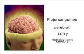Clase14-Flujo Sanguineo Cerebral