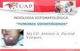 9na Clase Tumores Odontogenos