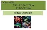 Los dominios archeobacteria y eubacteria. reino monera