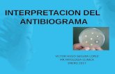Antibiograma interpretacion