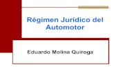Regimen Juridico Automotor