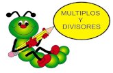 T4 multiplos-y-divisores