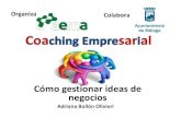 Cómo gestionar ideas de negocios  coaching empresarial