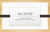 Descripcion Net-SNMP