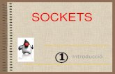 1213 Sockets [1] Introducci³