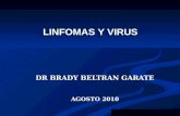 Linfomas Virus 2010