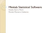 Minitab statistical software