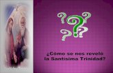C“MO SE NOS REVEL“ LA SANTSIMA TRINIDAD. Cp. 2