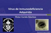 23.  Virus de la Inmunodeficiencia Adquirida