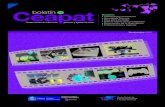 Bolet­n Ceapat n56 (2007)