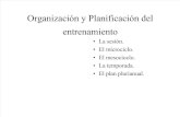 Organizacin y Planificacin Del Entrenamiento 1212390696294059 9