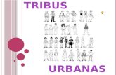 Tribus Urbannas