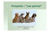 Proyecto "Los perros"