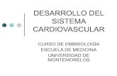 Desarrollo del sistema Cardiovascular
