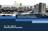 Programa Junta Ampliada, Paraguay