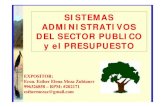 19sistema Administratio Sector Publico