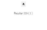 Peculiar SSH(1) ssh-ed25519-cert-v01@openssh.com, \ ssh-ed25519. MACs ssh -Q mac. Host * MACs \ hmac-sha2-512-etm@openssh.com,
