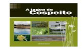 A Lagoa de Cospeito - IBADER - Instituto de Biodiversidade ... municipios de Cospeito e Castro de Rei,
