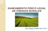 SANEAMIENTO FأچSICO LEGAL DE PREDIOS RURALES ...cip- PREDIO RURALES.pdf verificador. Tأ­tulo V - Reglamento