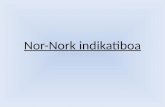 Nor-Nork Indikatiboa