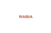 RABIA. VIRUS NEUROTROPOS Virus De La Rabia FAMILIA RHABDOVIRIDAE G©nero Lysssavirus: VIRUS DE LA RABIA