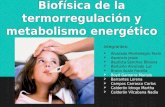 Biof­sica de La Termorregulaci³n y Metabolismo Energ©tico
