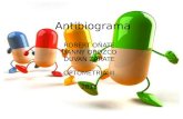 Antibioticos antibiograma
