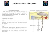 Divisiones del SNC