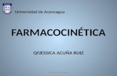 Clase 2 Farmacocinetica