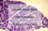 Usmp Practica 5 - Histologia 2014 - Tejido Linfoides