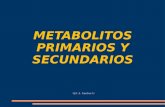 Metabolitos+Primarios+y+Secundarios+ +Clase+3