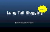 Long Tail Blogging 1
