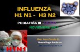 2014 INFLUENZA H1 N1.ppt