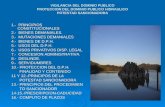 VIGILANCIA DEL DOMINIO PUBLICO PROTECCION DEL DOMINIO PUBLICO HIDRAULICO POTESTAD SANCIONADORA 1.- PRINCIPIOS CONSTITUCIONALES 2.- BIENES DEMANIALES. 3