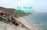 El mar peruano