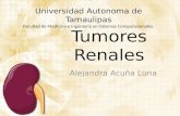 Tumores renales