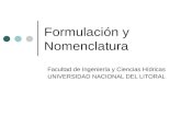Formulaci³n y nomenclatura-FICH 2009