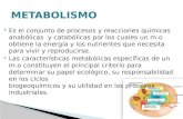 Metabolitos presentacion